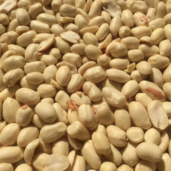 Whole Roasted Blanched Peanut